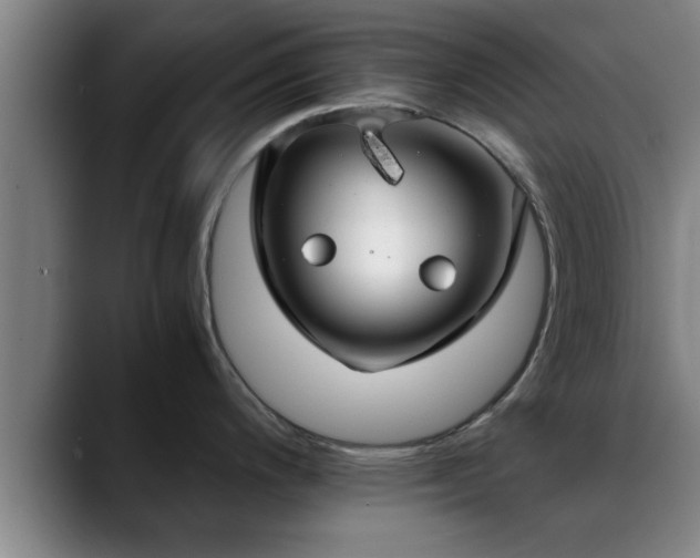 X0000088841200200706141533