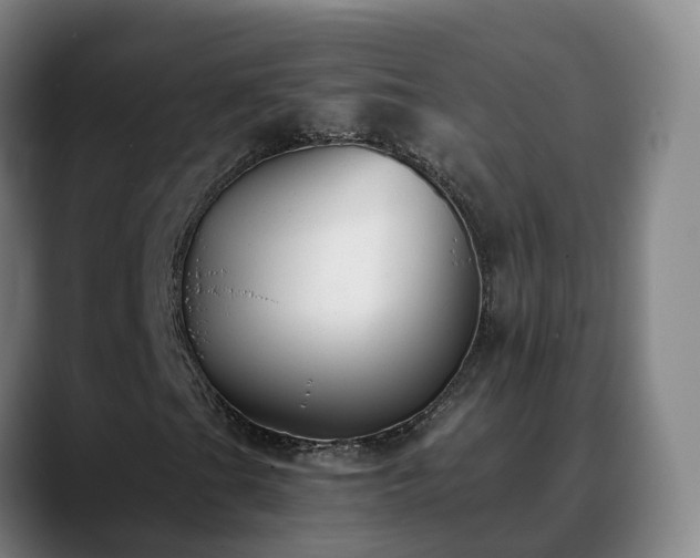 X0000088841201200706141532