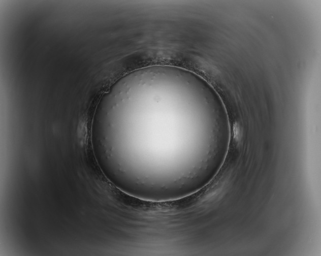 X0000088841203200706141532