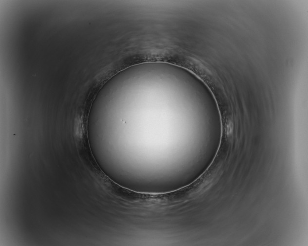 X0000088841204200706141532