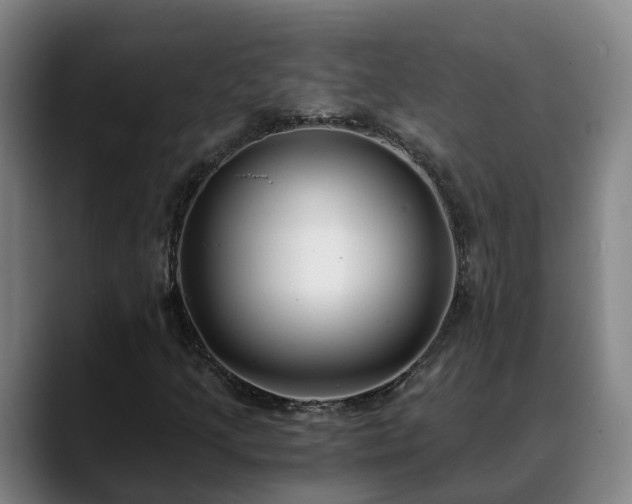 X0000088841205200706141532