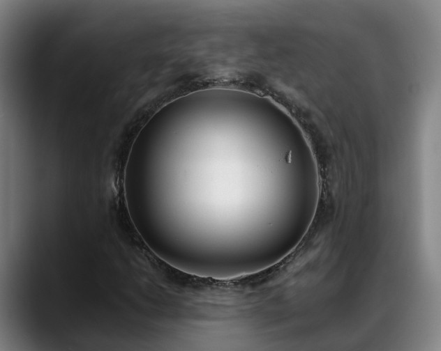 X0000088841206200706141532