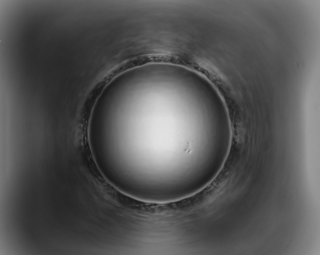 X0000088841208200706141532