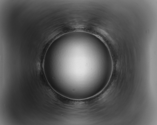 X0000088841209200706141532