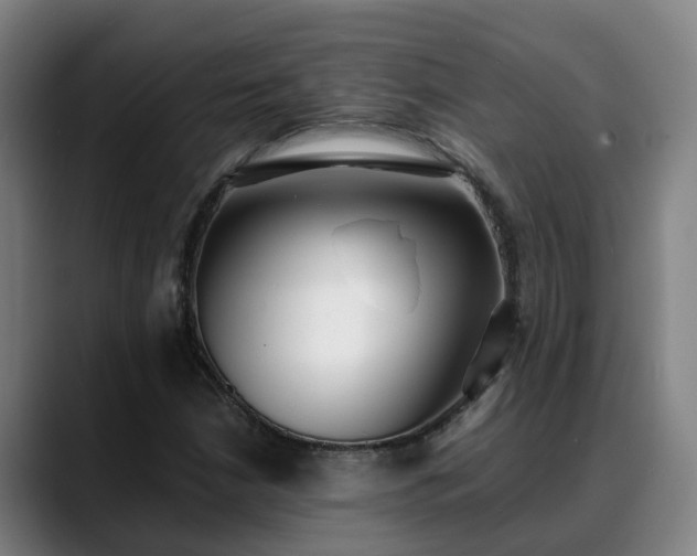 X0000088841210200706141532