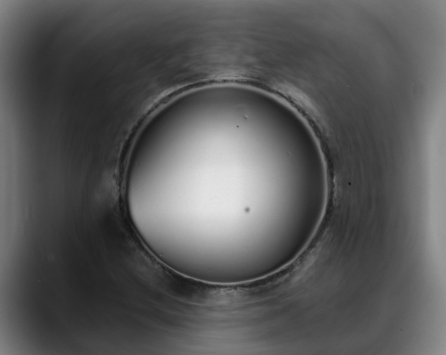 X0000088841212200706141532