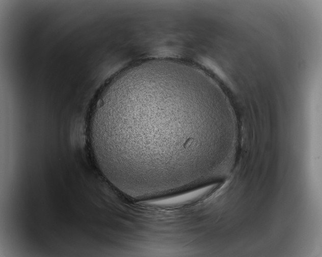 X0000088841213200706141532