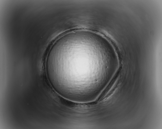 X0000088841215200706141532