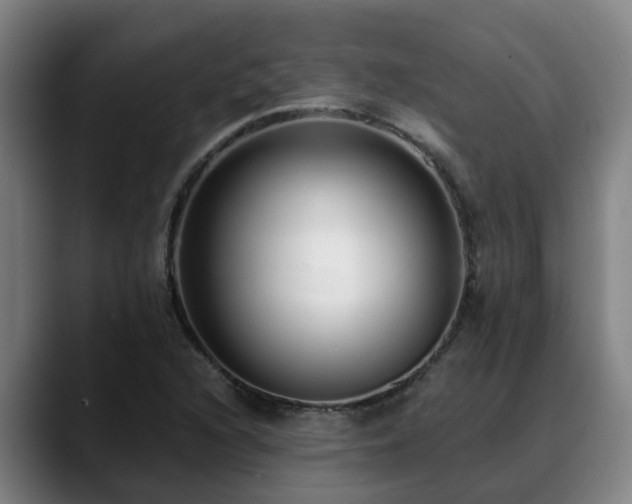 X0000088841216200706141532