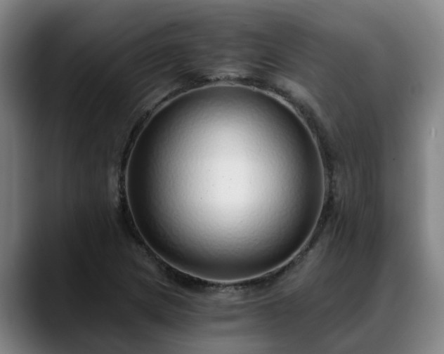 X0000088841217200706141532