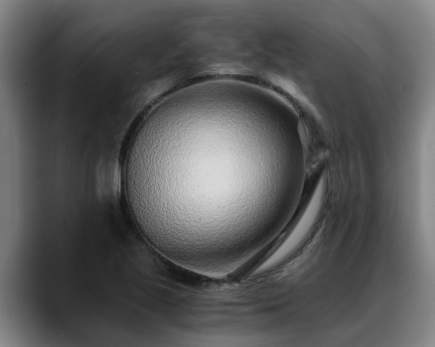 X0000088841221200706141532