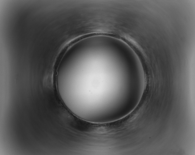 X0000088841222200706141532