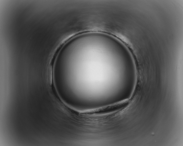 X0000088841223200706141532