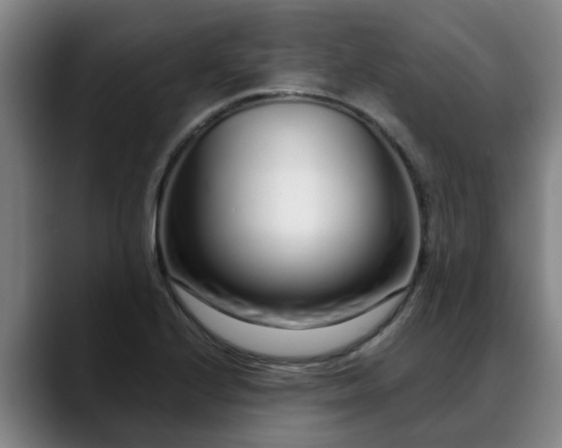 X0000088841224200706141532