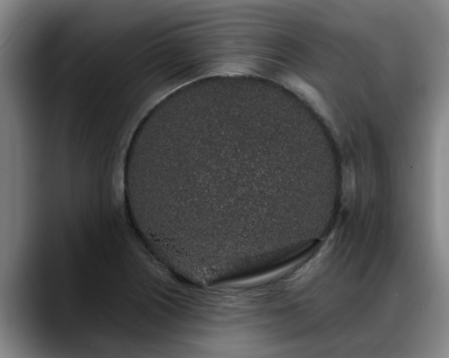 X0000088841226200706141532