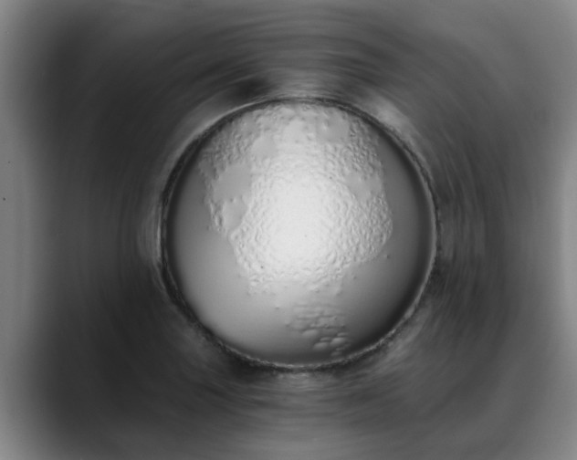 X0000088841227200706141532