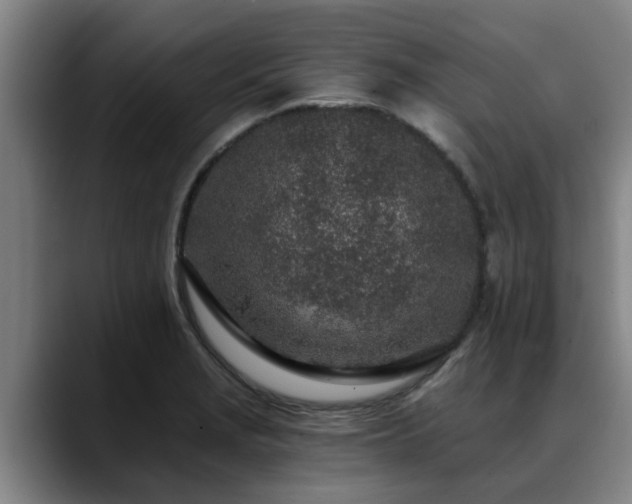 X0000088841229200706141533