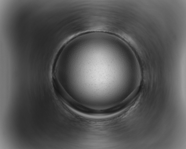 X0000088841230200706141533