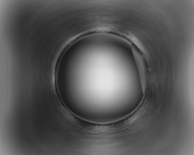 X0000088841232200706141533