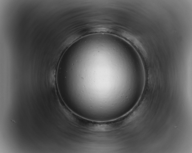 X0000088841233200706141533