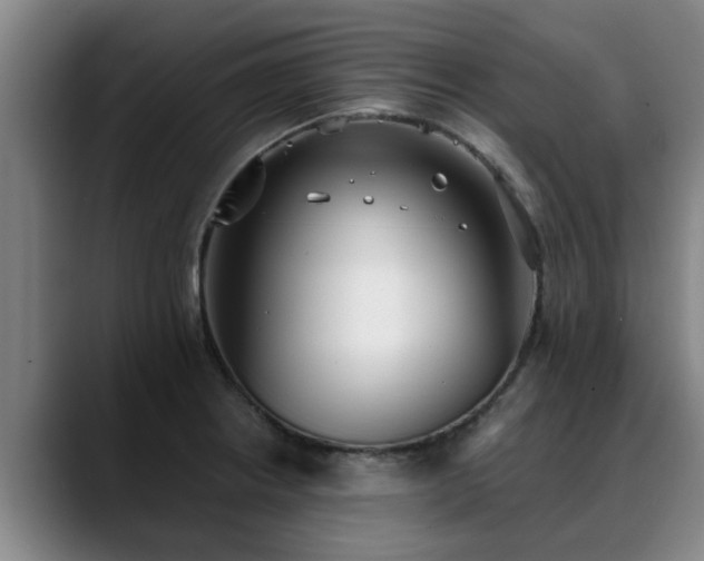 X0000088841234200706141533