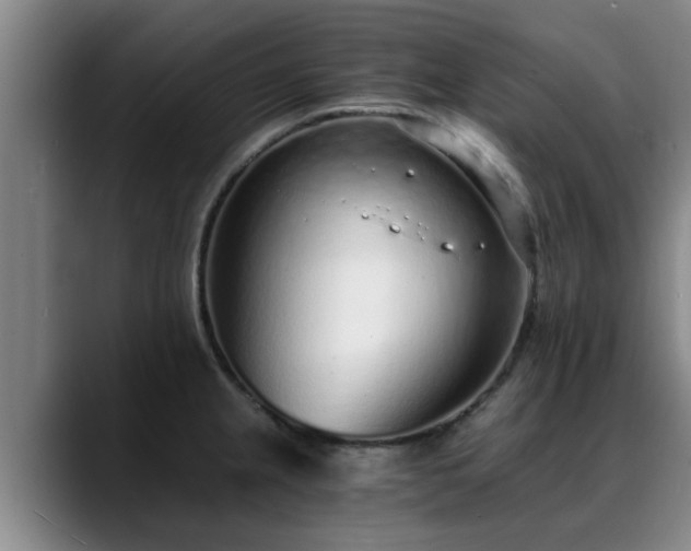 X0000088841237200706141533