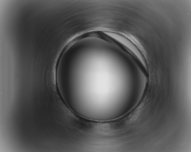 X0000088841238200706141533