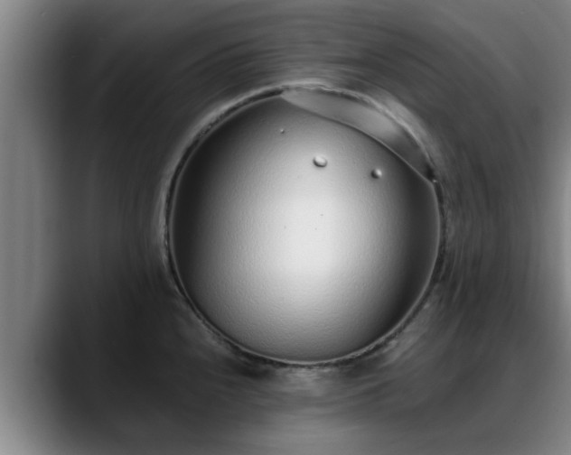 X0000088841240200706141533