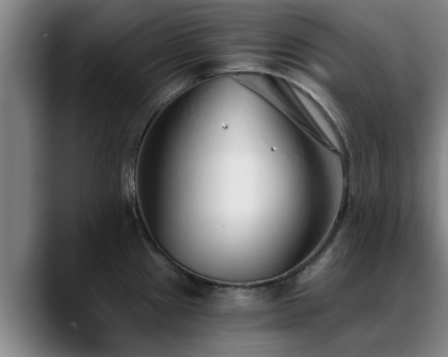 X0000088841241200706141533