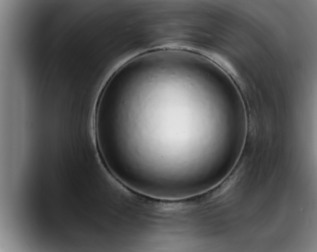 X0000088841247200706141533