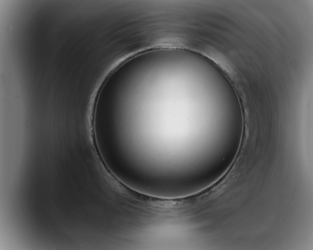 X0000088841248200706141533