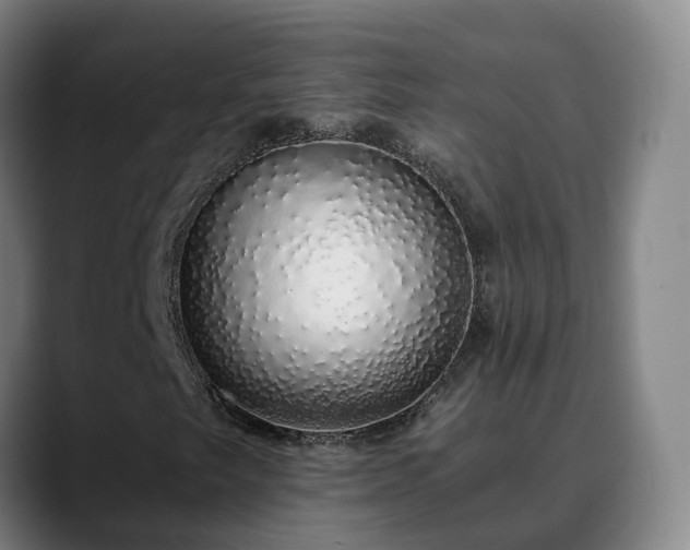 X0000088841249200706141532