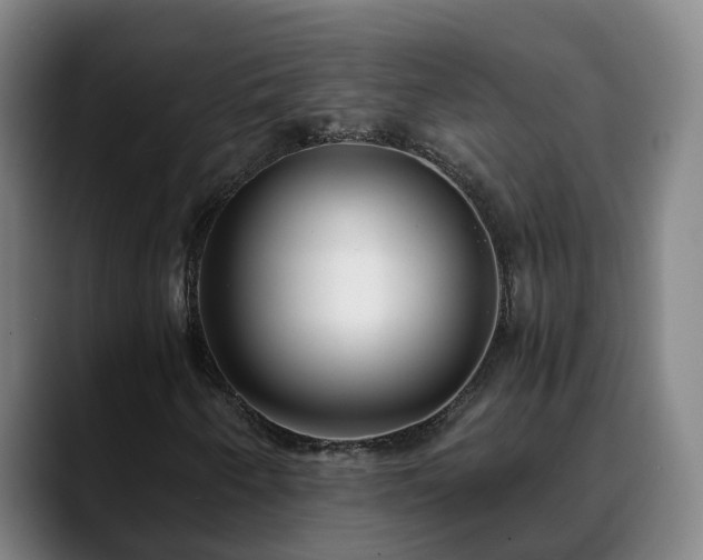 X0000088841250200706141532