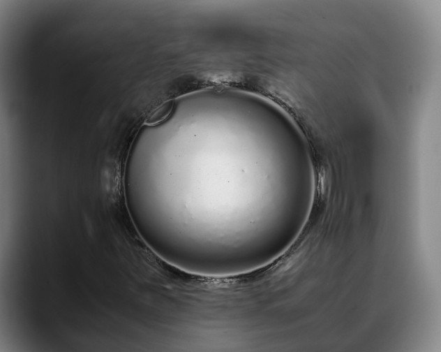 X0000088841251200706141532