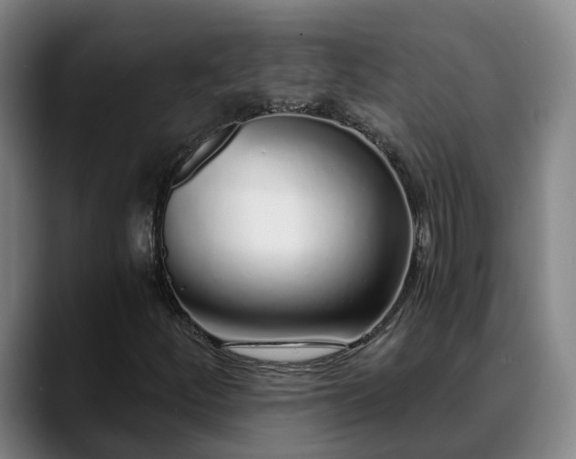 X0000088841252200706141532