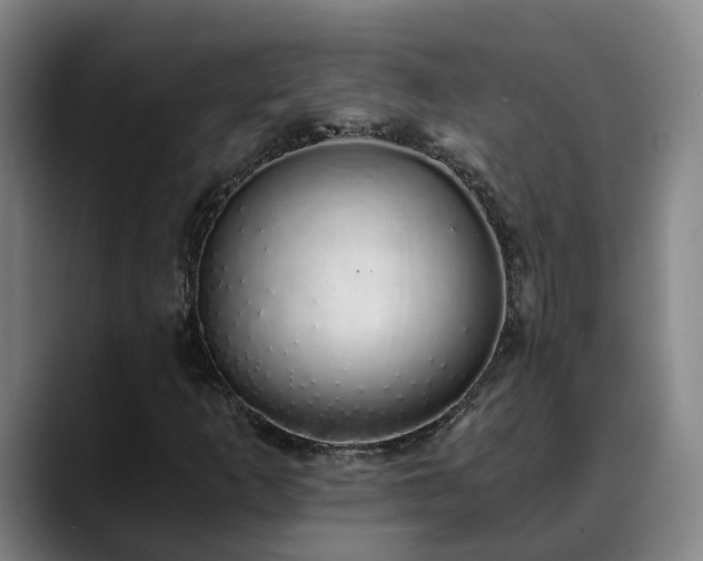 X0000088841253200706141532