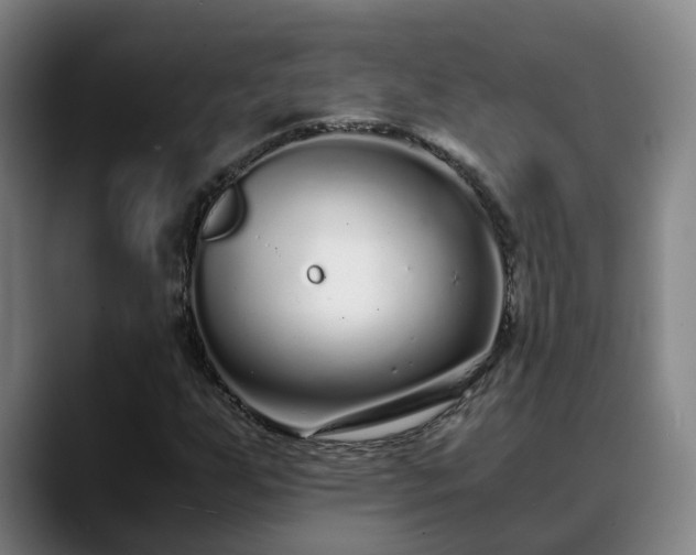 X0000088841255200706141532