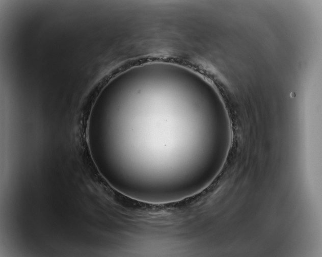 X0000088841256200706141532