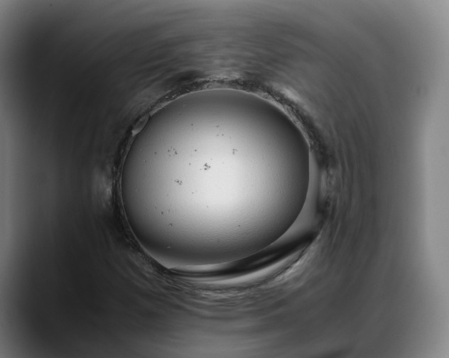 X0000088841257200706141532