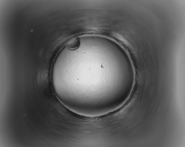 X0000088841259200706141532