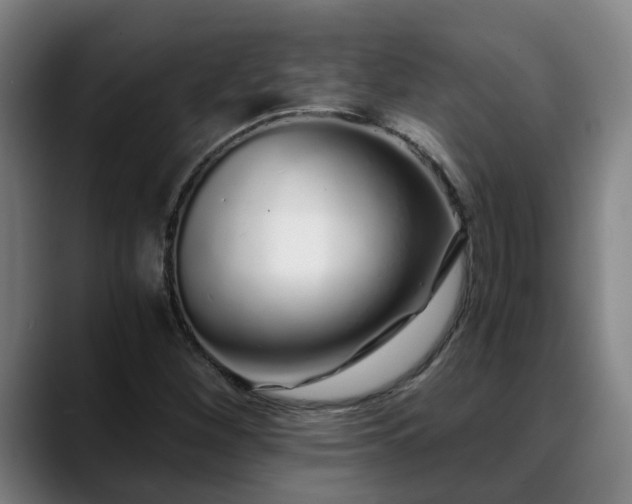 X0000088841260200706141532