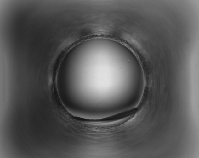 X0000088841261200706141532