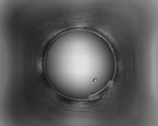 X0000088841262200706141532