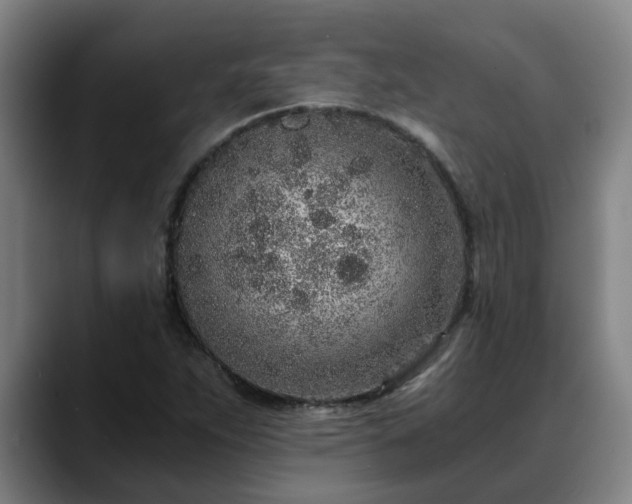 X0000088841263200706141532