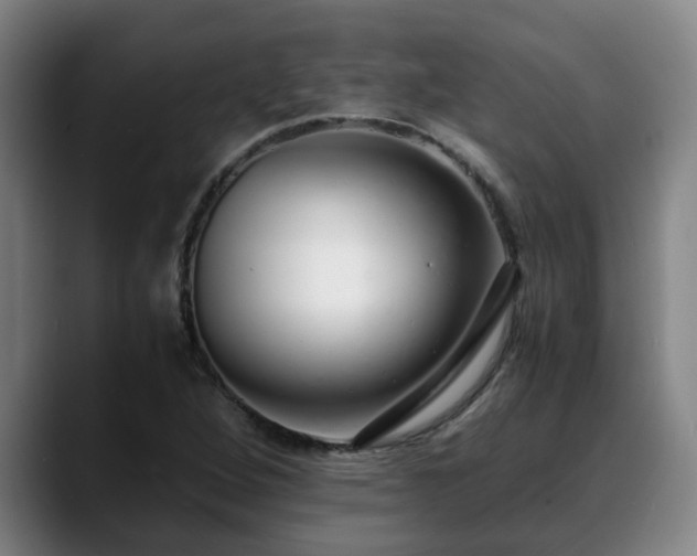 X0000088841264200706141532