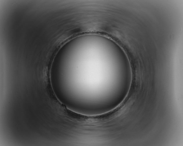 X0000088841265200706141532