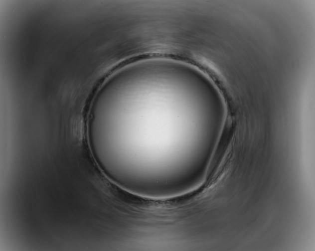 X0000088841267200706141532