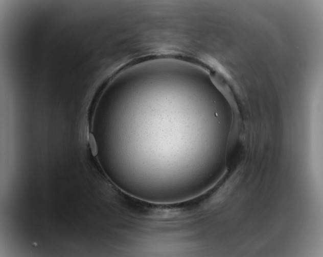 X0000088841269200706141532