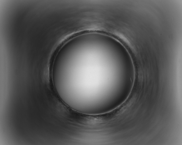 X0000088841270200706141532