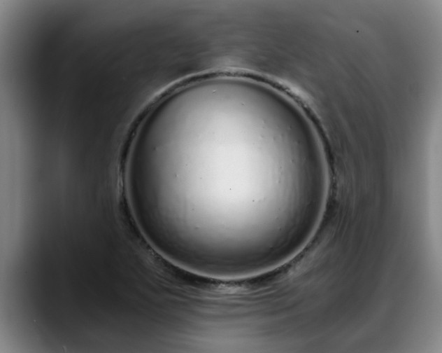 X0000088841271200706141532